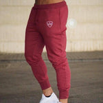 Fitness Casual Elastic Pants - LAVISHTO