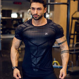 Male Gym Fitness T shirt - LAVISHTO